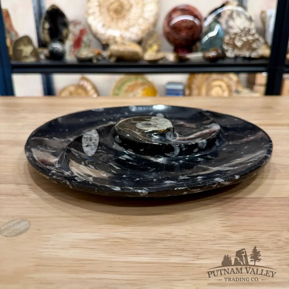 Reserve Orthoceras & Ammonite Fossil Serving Plate 10’’ - Fossil Plates