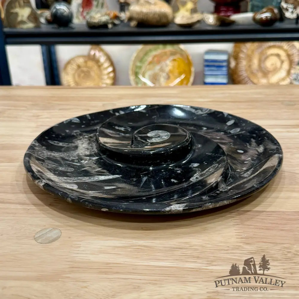 Reserve Orthoceras & Ammonite Fossil Serving Plate 10’’ - Fossil Plates