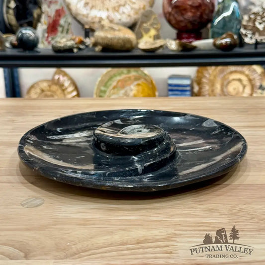 Reserve Orthoceras & Ammonite Fossil Serving Plate 10’’ - Fossil Plates