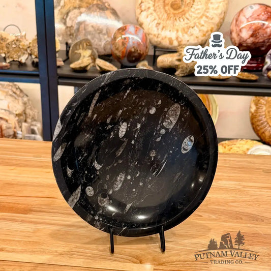 Genuine Reserve Orthoceras Fossil Bowl 10’’