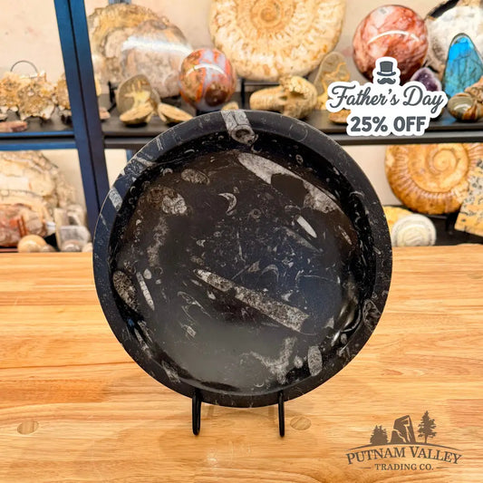 Genuine Reserve Orthoceras Fossil Bowl 10’’
