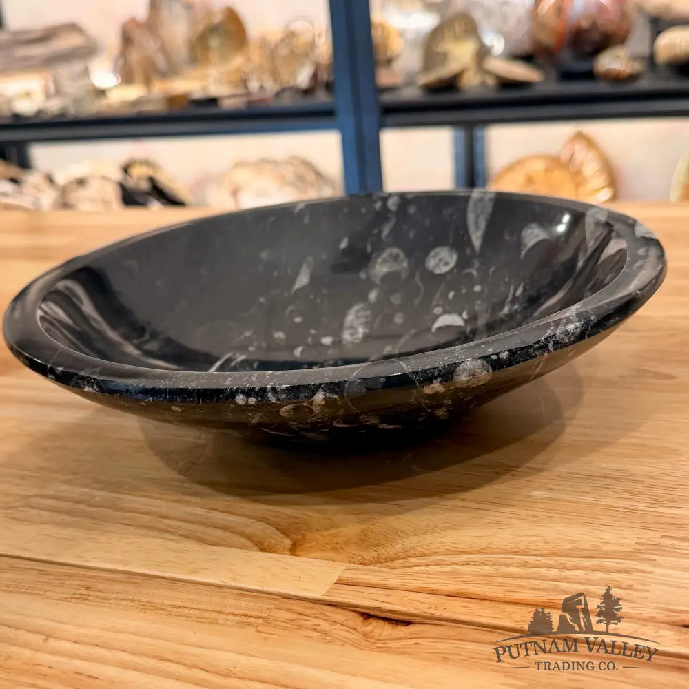 Genuine Reserve Orthoceras Fossil Bowl 10’’