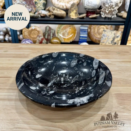 Reserve Orthoceras Fossil Bowl 10’’ | Morocco - Fossil Bowl