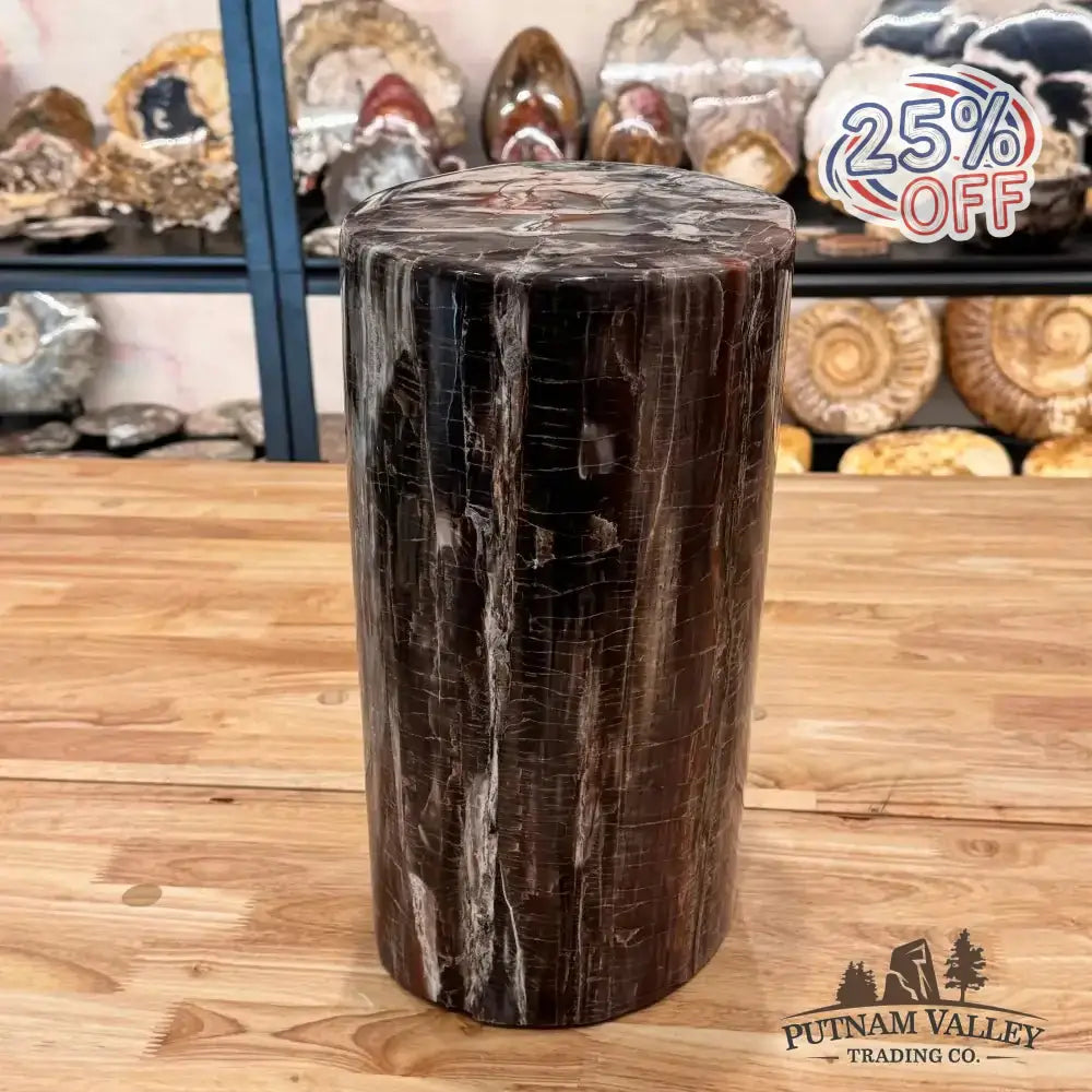 Reserve Petrified Wood Round Pillar - Putnam Valley Trading Co.