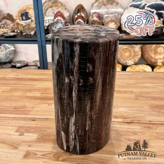 Reserve Petrified Wood Round Pillar - Putnam Valley Trading Co.