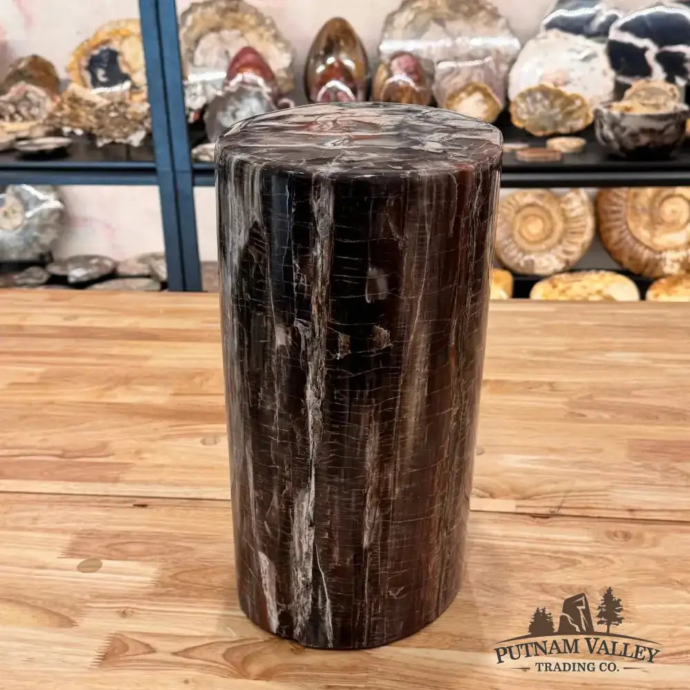 Reserve Petrified Wood Round Pillar - Putnam Valley Trading Co.