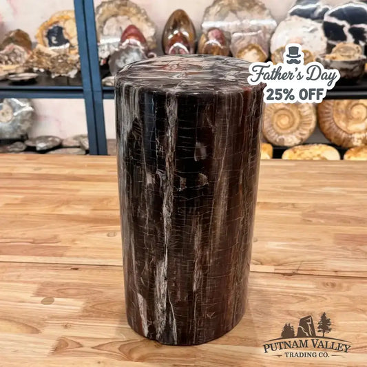Reserve Petrified Wood Round Pillar - Putnam Valley Trading Co.