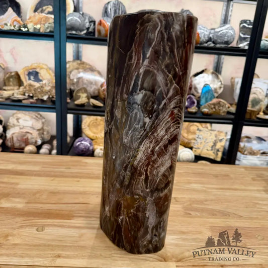 Reserve Petrified Wood Round Pillar | 17.75’’ 47.7LB Sculpture