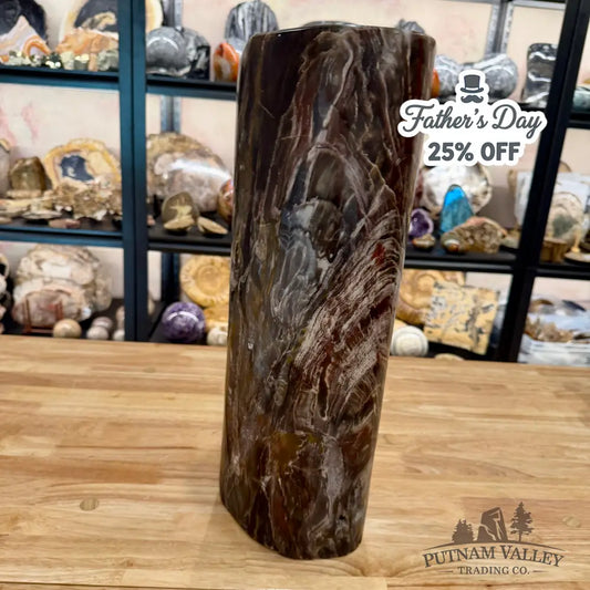 Reserve Petrified Wood Round Pillar | 17.75’’ 47.7LB Sculpture