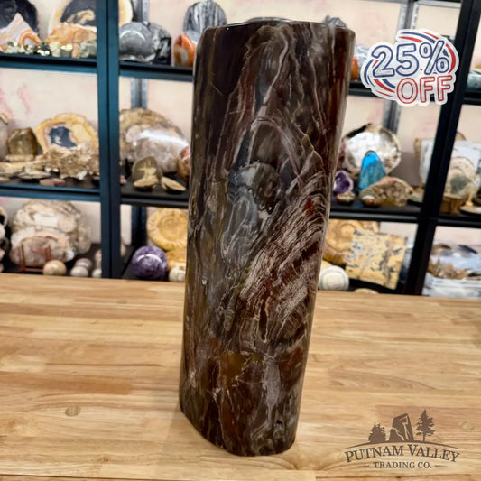 Reserve Petrified Wood Round Pillar | 17.75’’ 47.7LB Sculpture