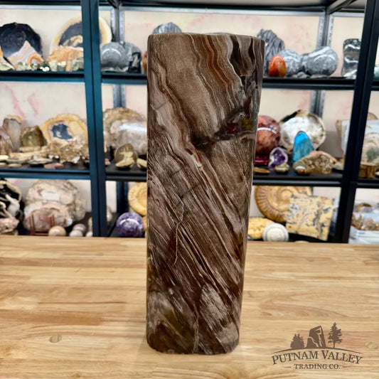 Reserve Petrified Wood Round Pillar | 17.75’’ 47.7LB Sculpture