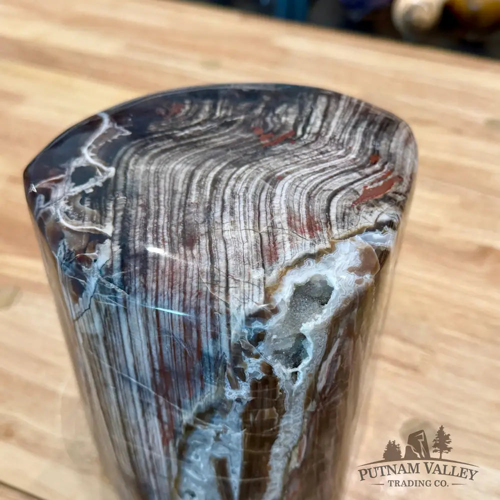 Reserve Petrified Wood Round Pillar 6.75’’ - Accent