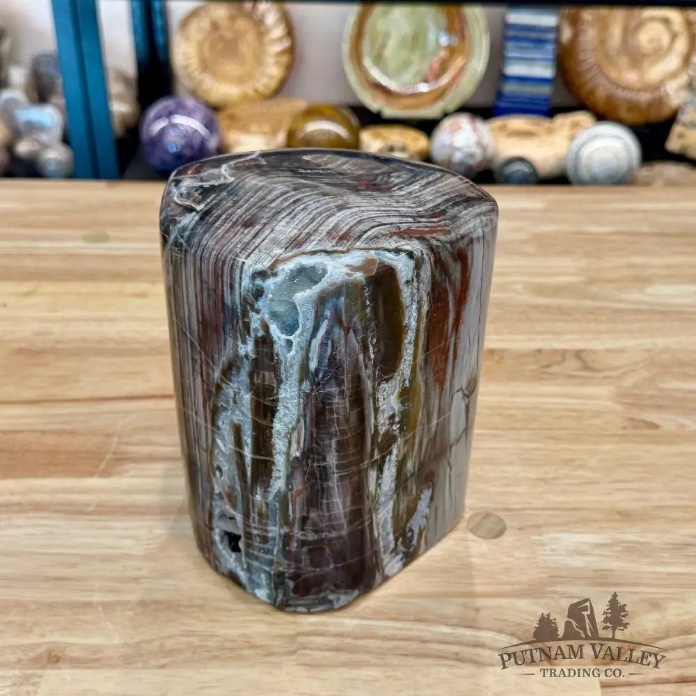 Reserve Petrified Wood Round Pillar 6.75’’ - Accent
