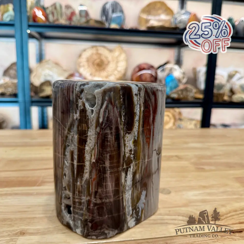 Reserve Petrified Wood Round Pillar 6.75’’ - Accent