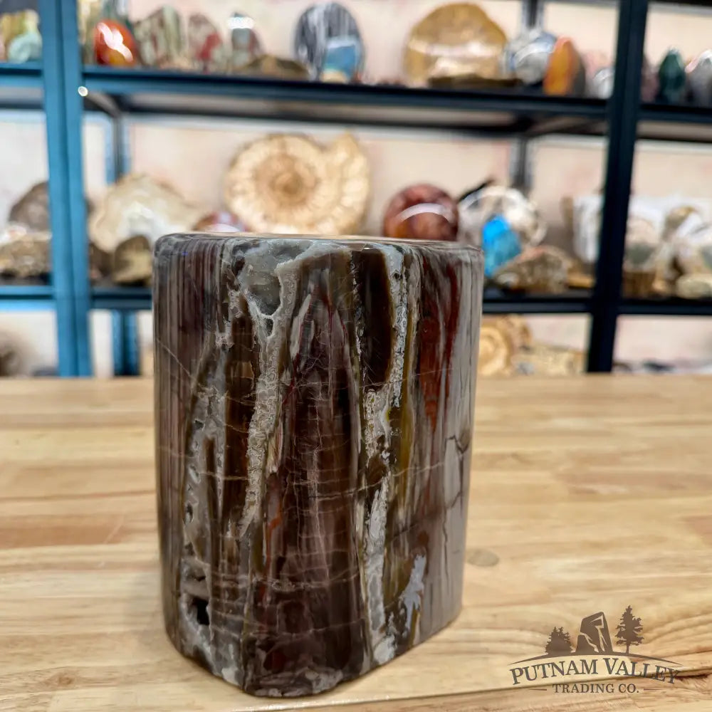 Reserve Petrified Wood Round Pillar 6.75’’ - Accent