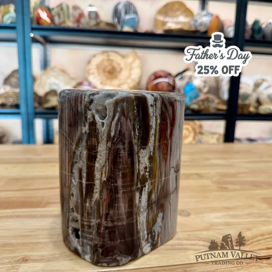 Reserve Petrified Wood Round Pillar 6.75’’ - Accent
