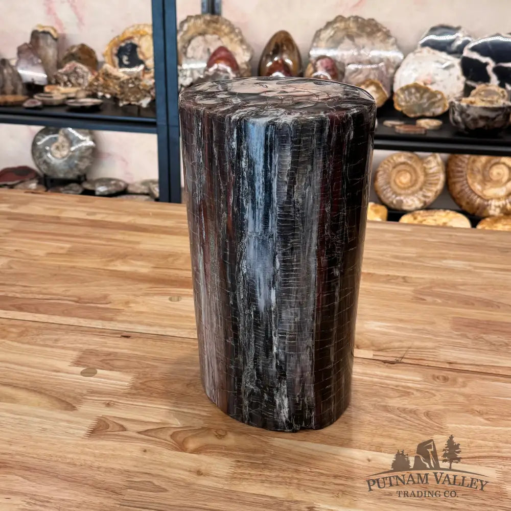 Reserve Petrified Wood Round Pillar Sculpture