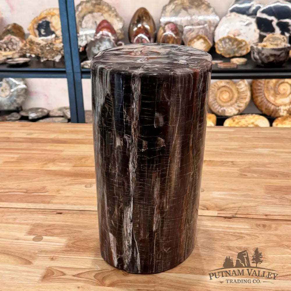 Reserve Petrified Wood Round Pillar Sculpture