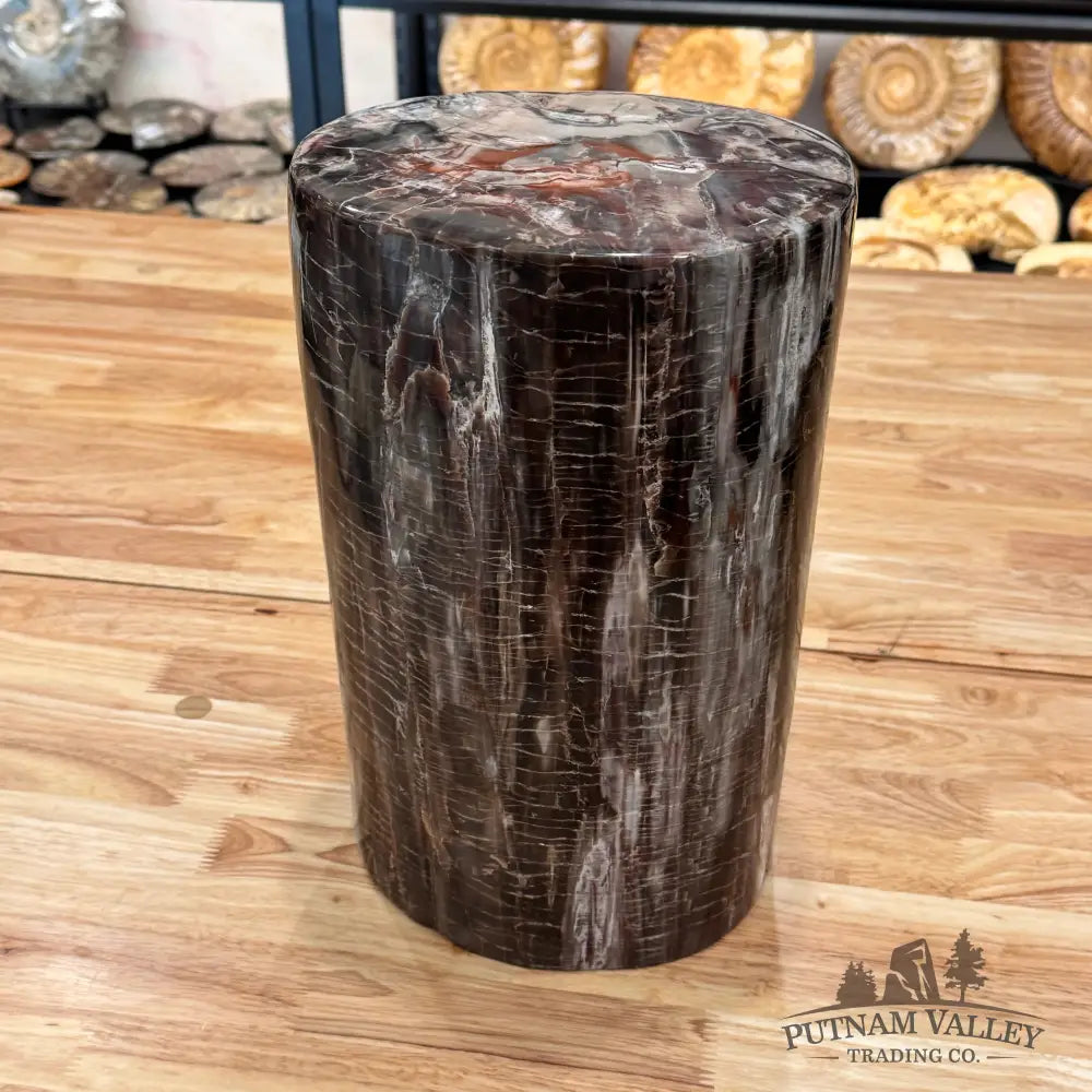 Reserve Petrified Wood Round Pillar Sculpture