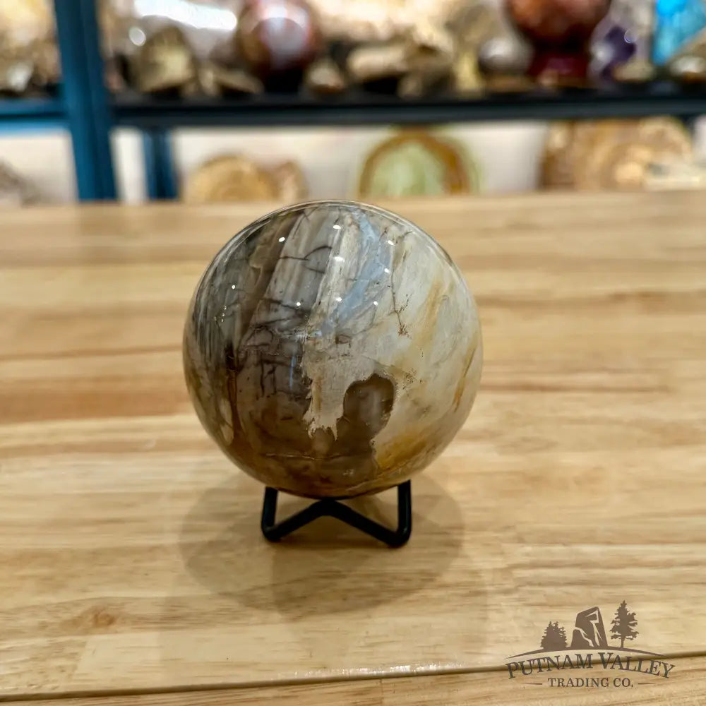 Reserve Petrified Wood Sphere 3.1’’ Sphere