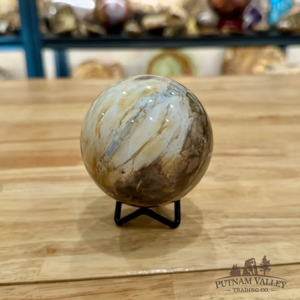 Reserve Petrified Wood Sphere 3.1’’ Sphere