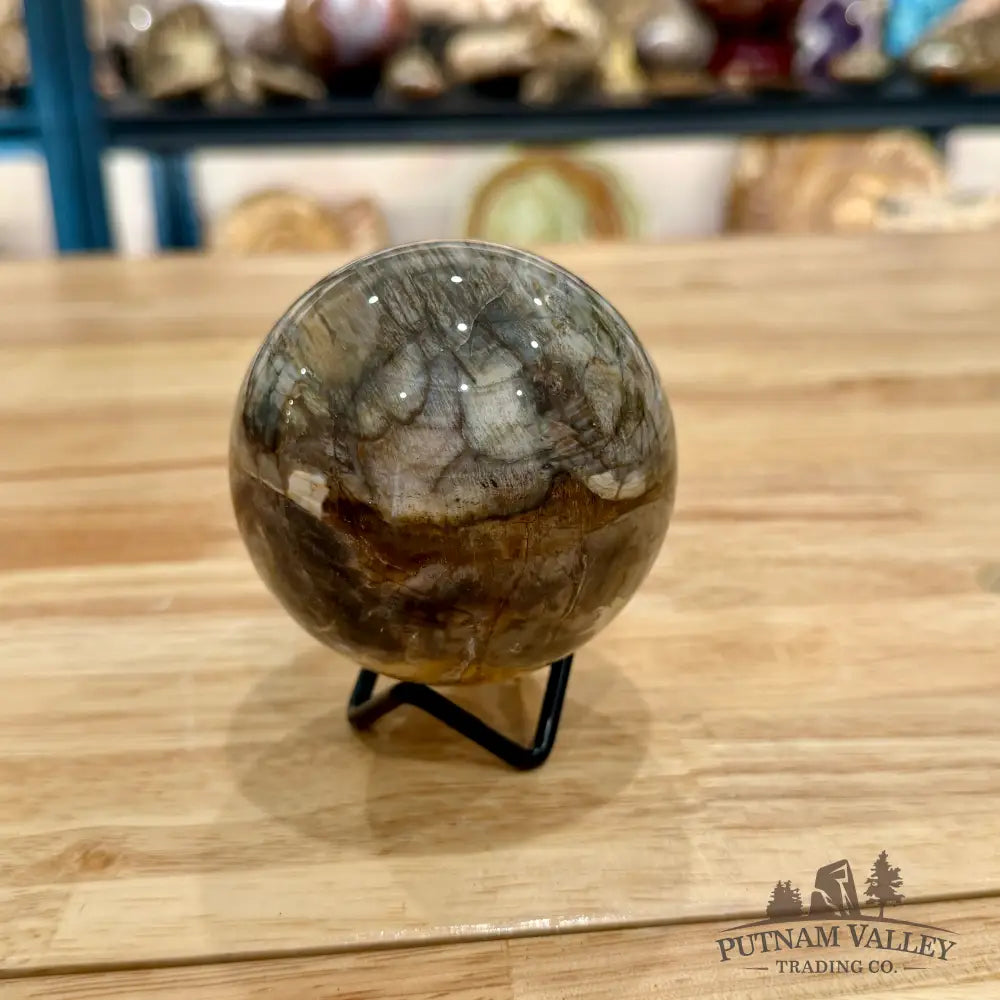 Reserve Petrified Wood Sphere 3.1’’ Sphere