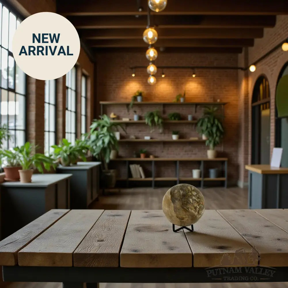 Reserve Petrified Wood Sphere 3.3’’ Sphere