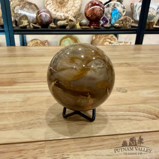 Reserve Petrified Wood Sphere 3.13’’ Sphere