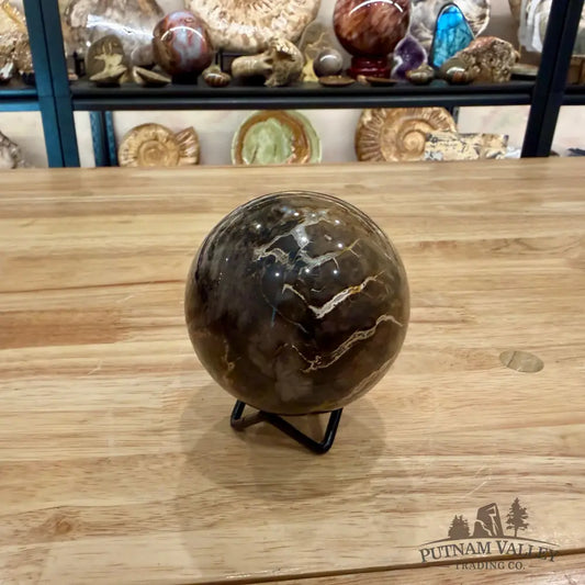 Reserve Petrified Wood Sphere 3.13’’ Sphere