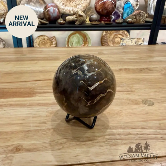 Reserve Petrified Wood Sphere 3.13’’ Sphere