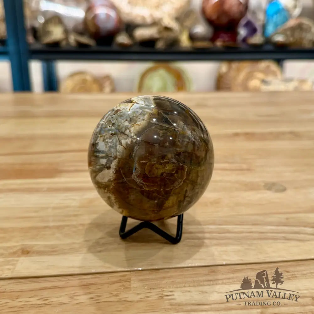 Reserve Petrified Wood Sphere 3.22’’ Sphere