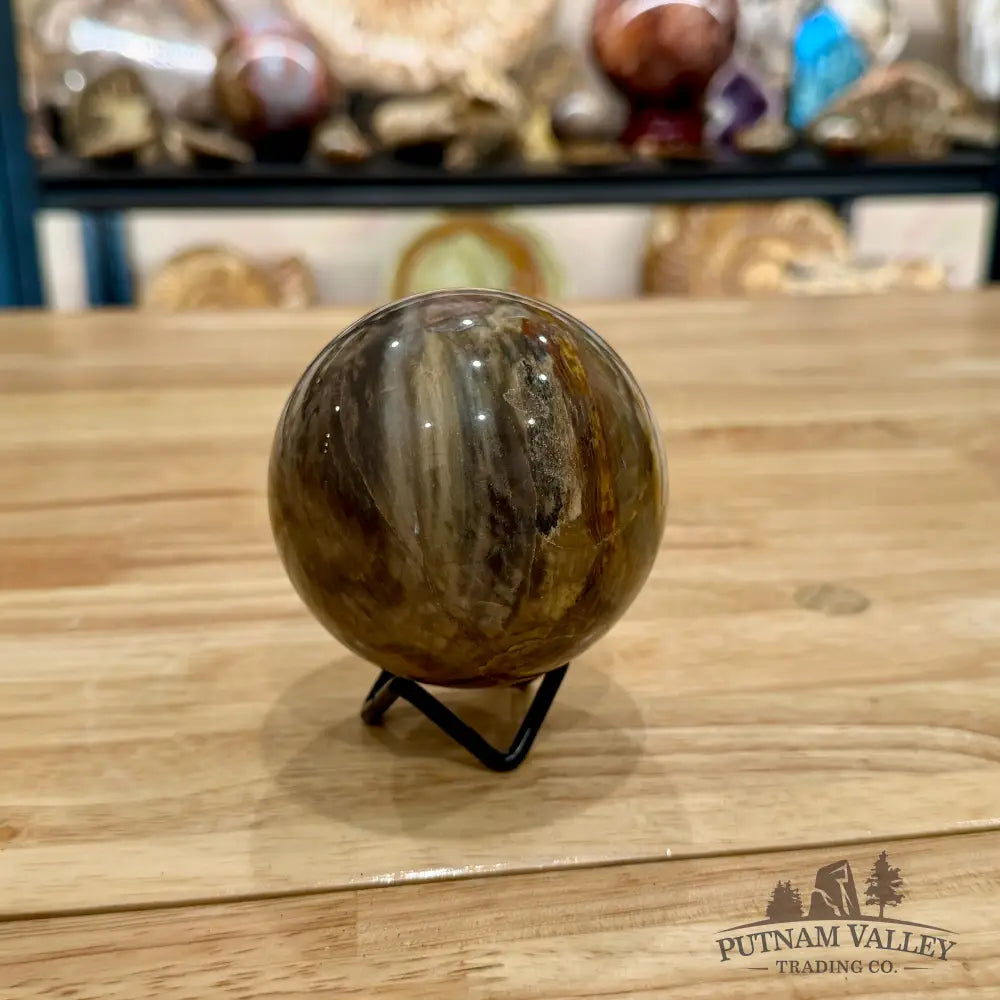 Reserve Petrified Wood Sphere 3.22’’ Sphere