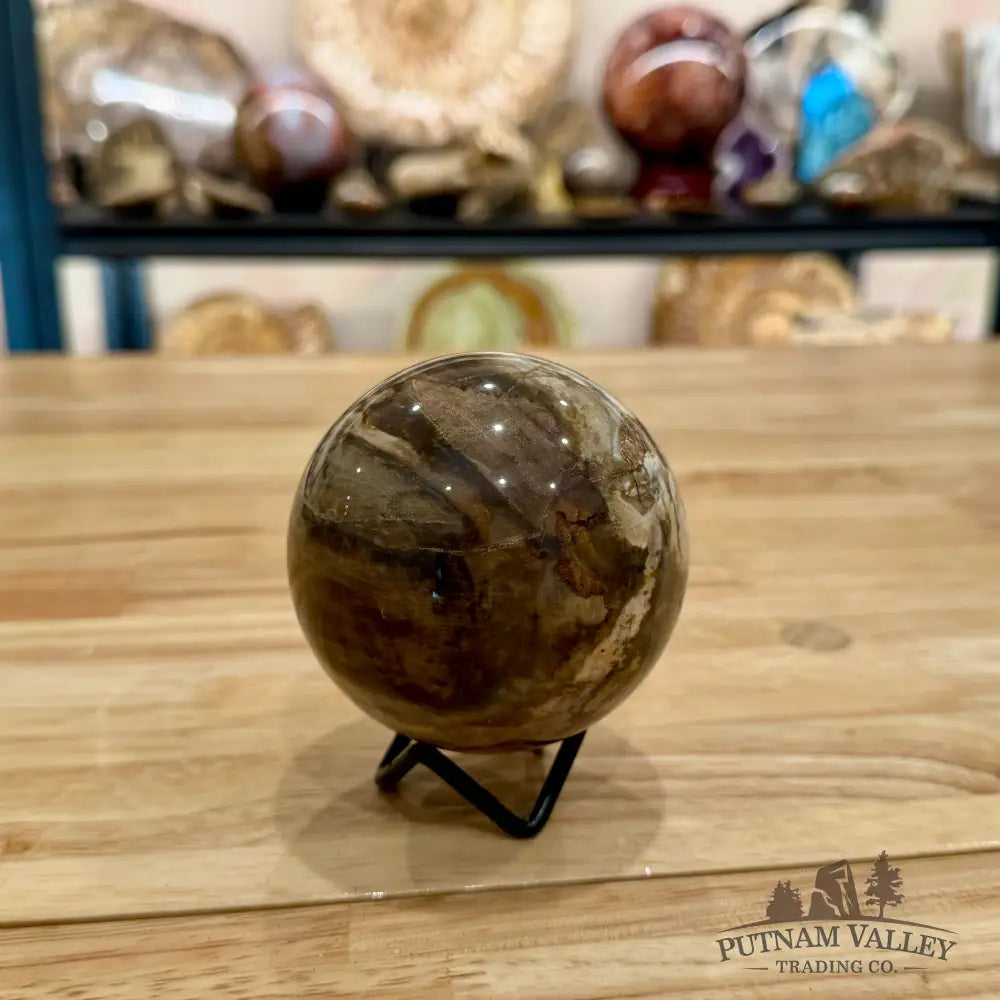 Reserve Petrified Wood Sphere 3.22’’ Sphere