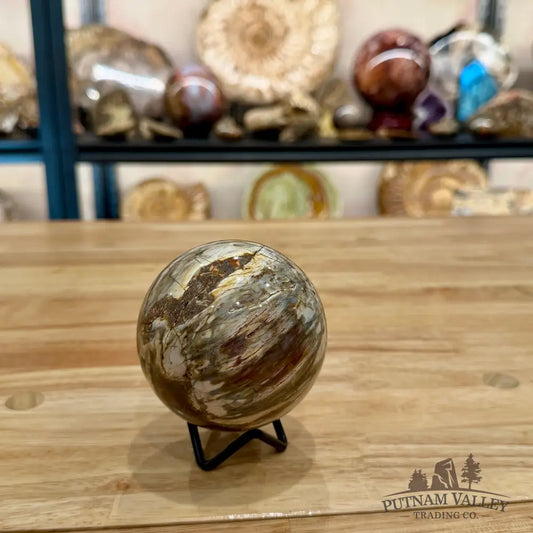 Reserve Petrified Wood Sphere 3.22’’ Sphere