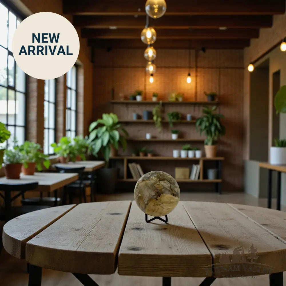 Reserve Petrified Wood Sphere 3.3’’ Sphere