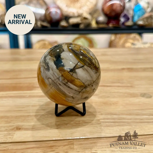 Reserve Petrified Wood Sphere 3.32’’ Sphere