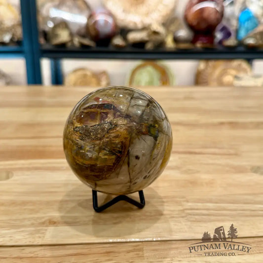 Reserve Petrified Wood Sphere 3.32’’ Sphere