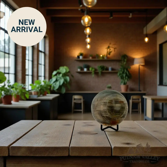 Reserve Petrified Wood Sphere 3.33’’ Sphere