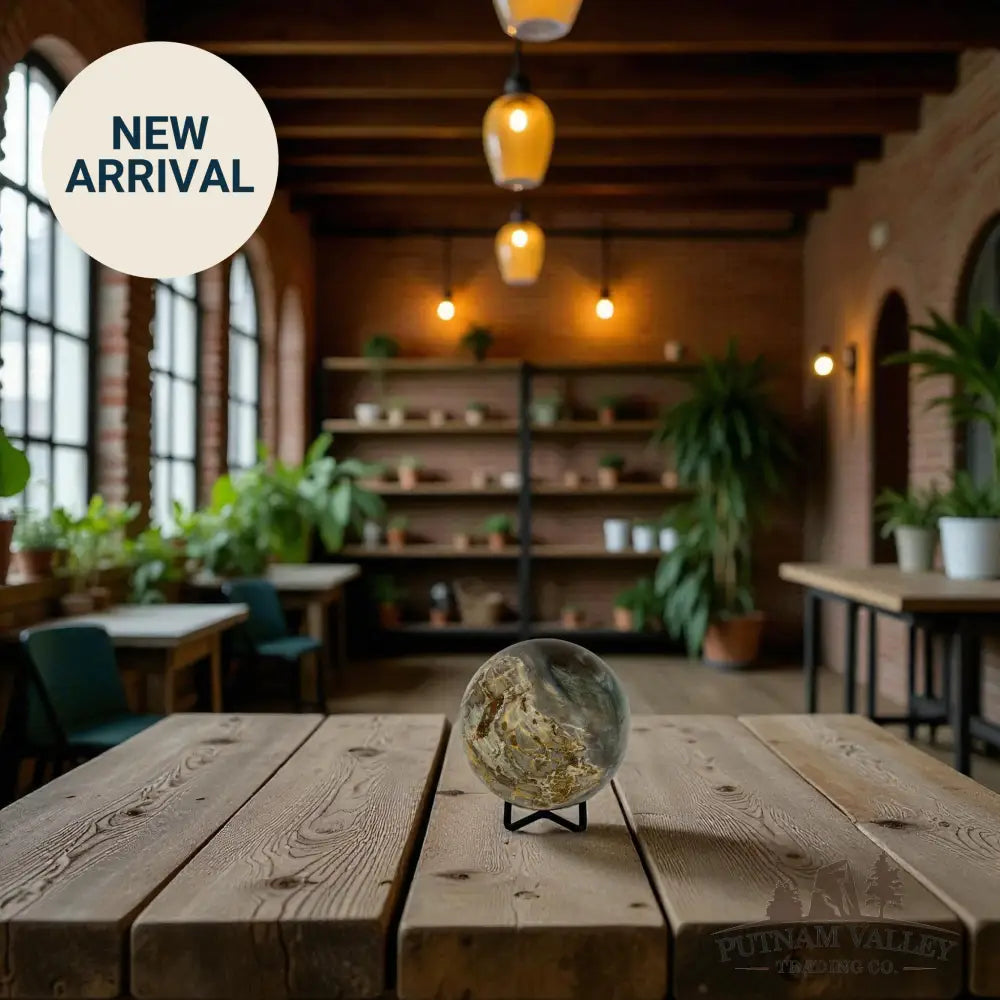 Reserve Petrified Wood Sphere 3.33’’ Sphere