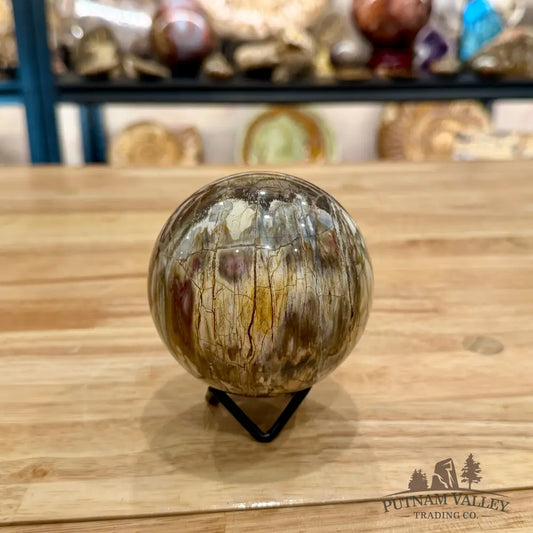 Reserve Petrified Wood Sphere 3.37’’ Sphere
