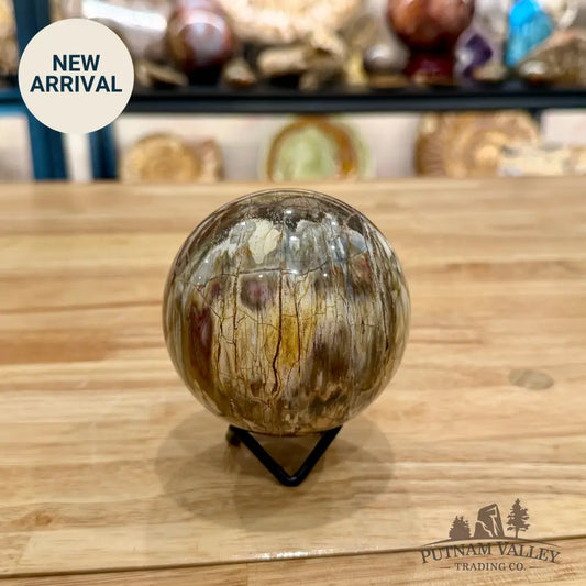 Reserve Petrified Wood Sphere 3.37’’ Sphere