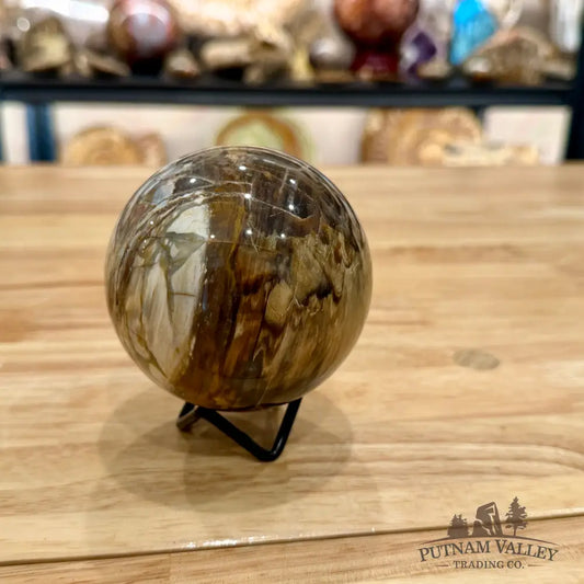 Reserve Petrified Wood Sphere 3.37’’ Sphere