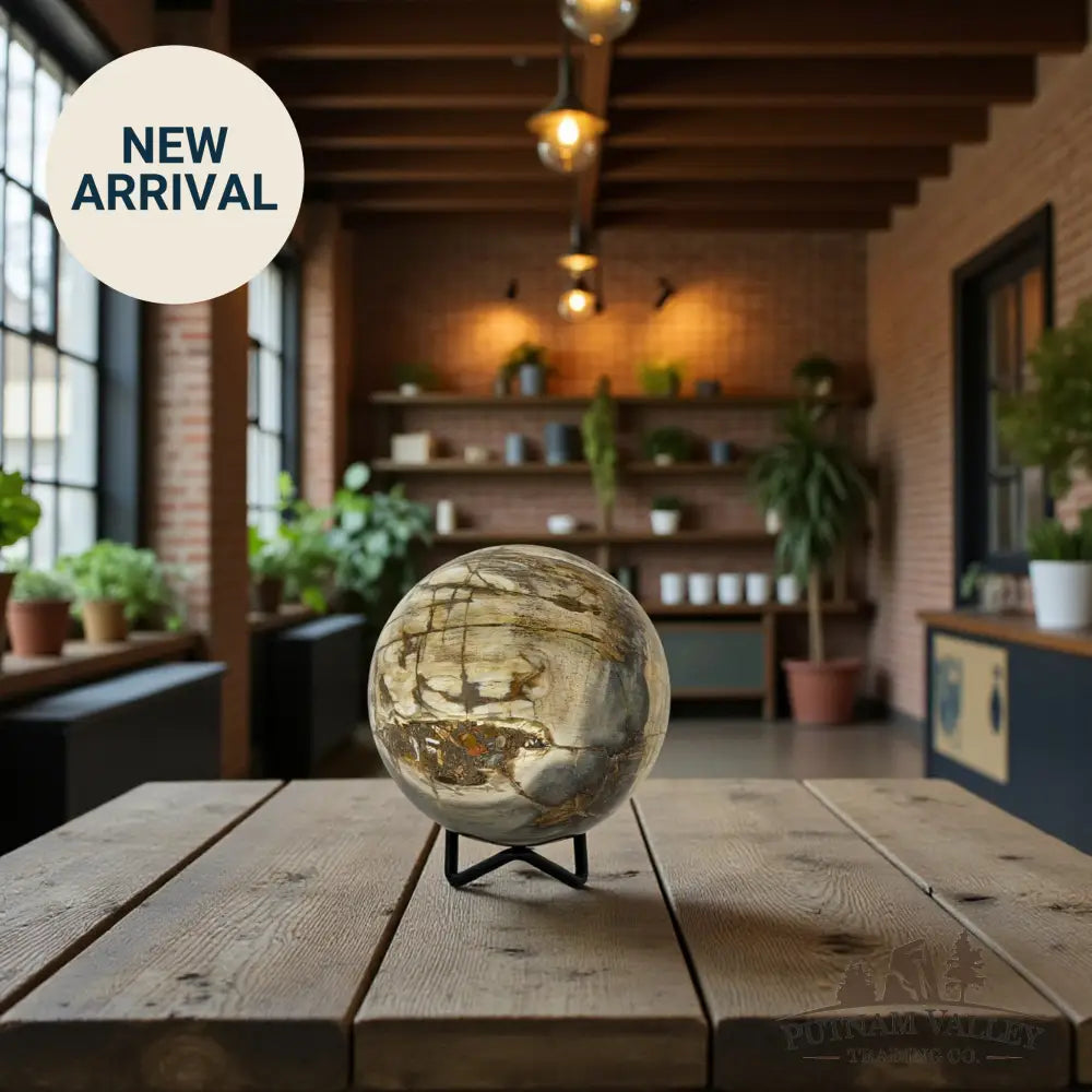 Reserve Petrified Wood Sphere 3.4’’ Sphere