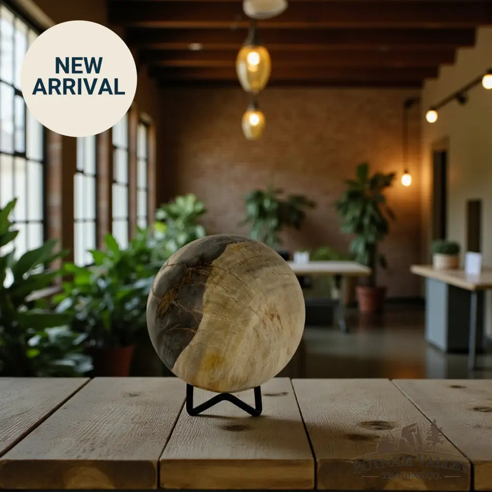 Reserve Petrified Wood Sphere 3.4’’ Sphere