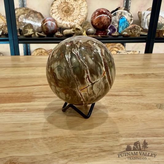 Reserve Petrified Wood Sphere 3.4’’ Sphere