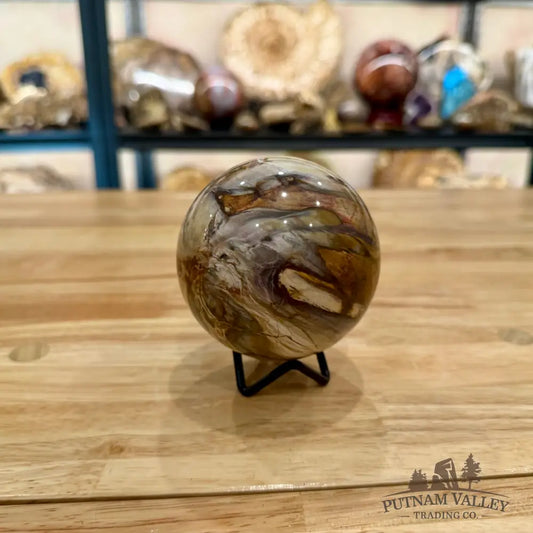 Reserve Petrified Wood Sphere 3.4’’ Sphere