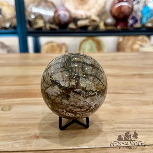 Reserve Petrified Wood Sphere 3.46’’ Sphere