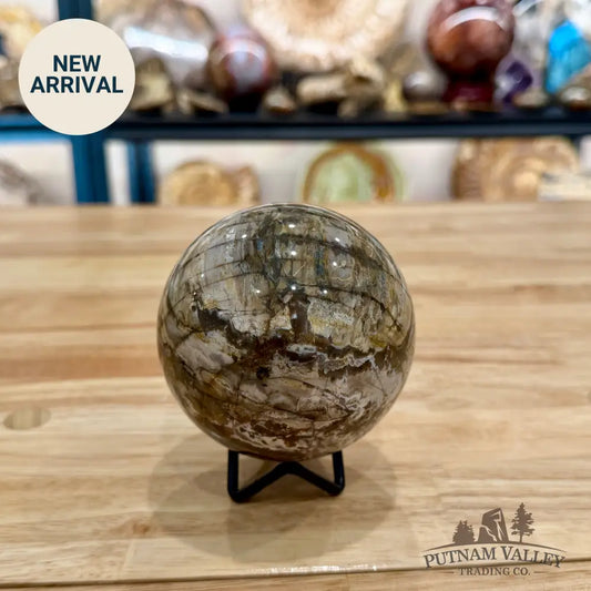 Reserve Petrified Wood Sphere 3.46’’ Sphere
