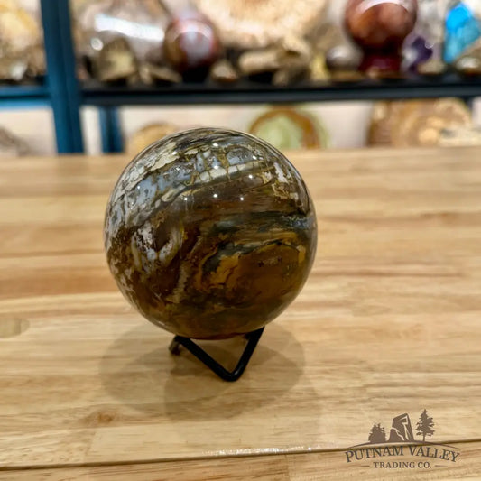 Reserve Petrified Wood Sphere 3.46’’ Sphere