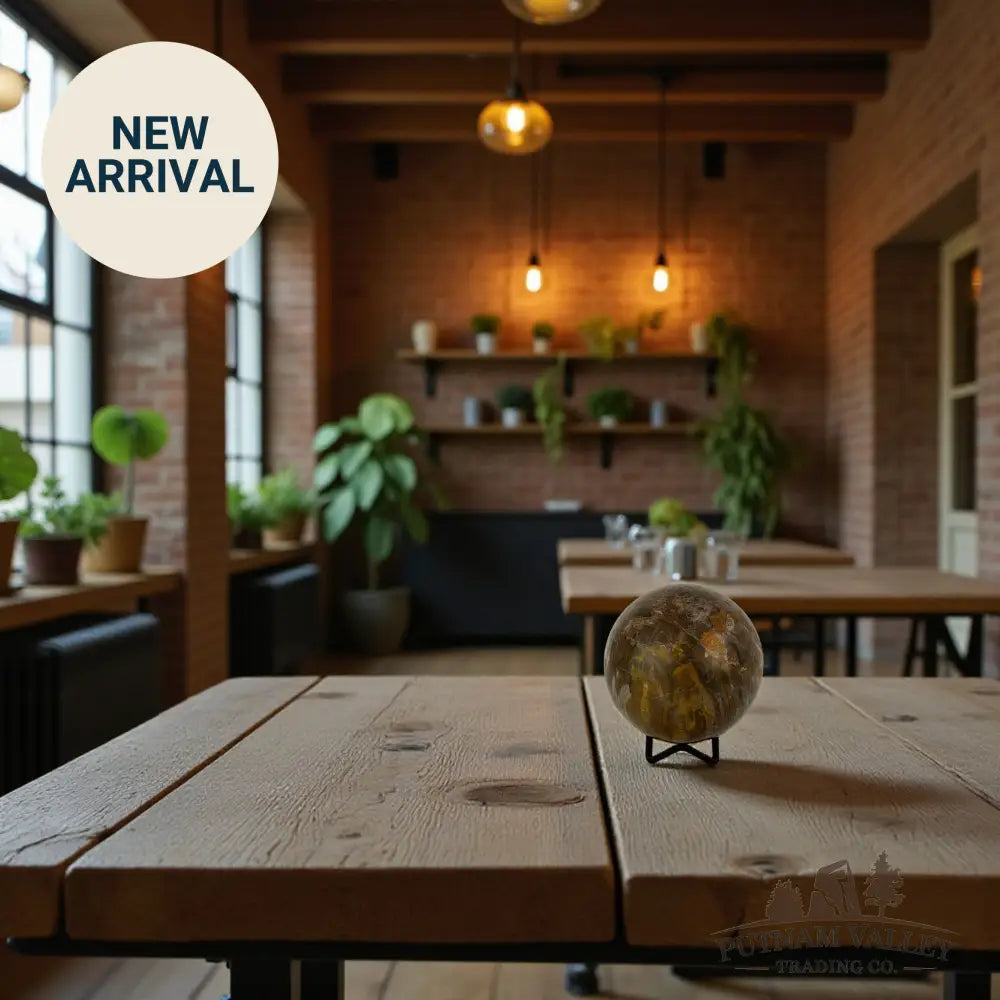 Reserve Petrified Wood Sphere Sphere